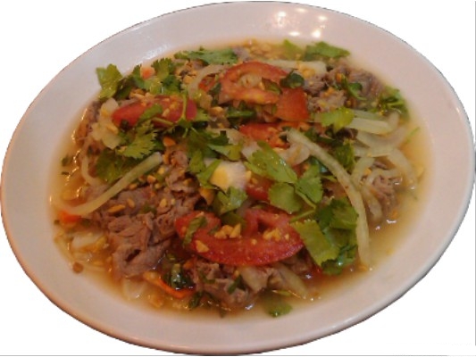 Vietnamese Salad Beef