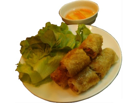 Vietnamese Fried Spring Rolls
